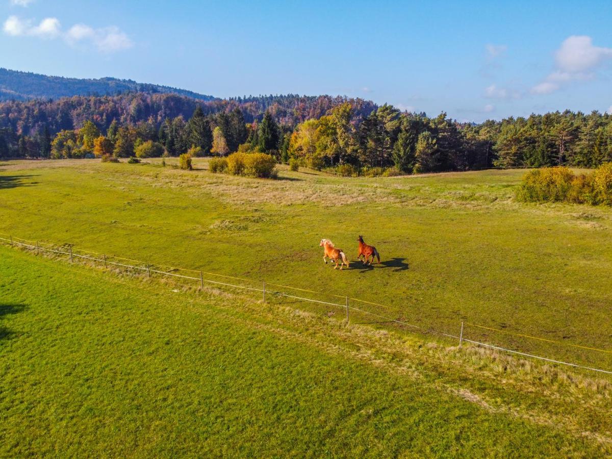 Notranjska Hisa - Traditional Country House, Close To The World Attraction Cerknica Lake Begunje pri Cerknici Exterior foto