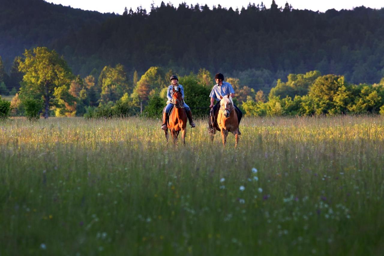 Notranjska Hisa - Traditional Country House, Close To The World Attraction Cerknica Lake Begunje pri Cerknici Exterior foto